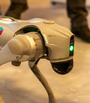 A robotic dog with 'Go2' branding, captured indoors, showcasing modern technology.